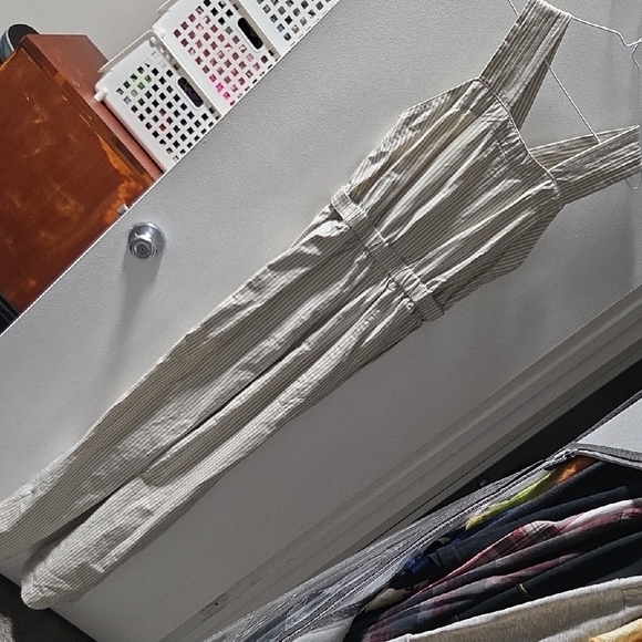 Everlane Pants - Everlane Cream and Black Striped Garment